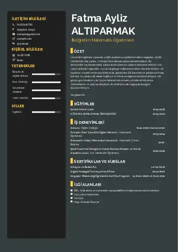 Matematik Öğretmeni Cv Örnekleri cv indir
